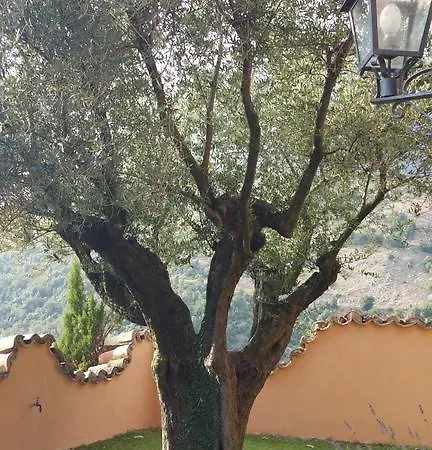 La Codarda アパート *