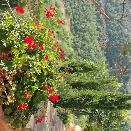 アパート La Codarda Pescosolido