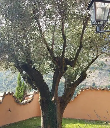 La Codarda Διαμέρισμα *